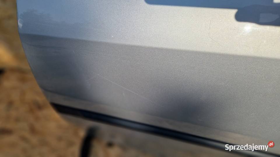 RENAULT CLIO 3 III HB DRZWI TYŁ LEWE KOMPLETNE osobowe wielkopolskie Słowikowo sprzedam