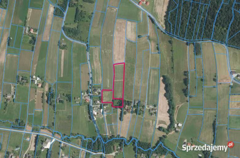 sprzedam 11zł/m2 Szerzyny