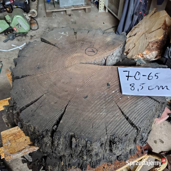 Plaster Czarny Dąb Pozostałe Nowy Tomyśl