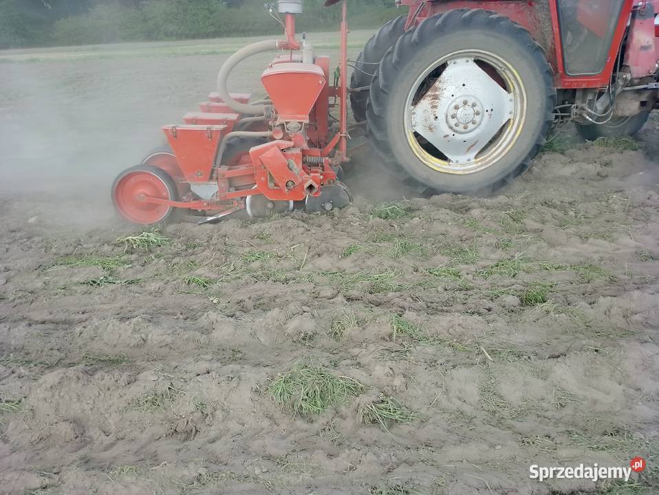 Siewnik do kukurydzy cztero rzędowy talerzowy Sieradz