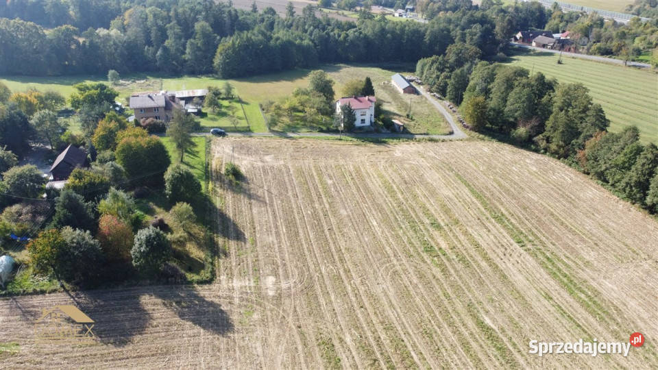 Grunt do sprzedania 1556m2 Międzyświeć 96zł/m2