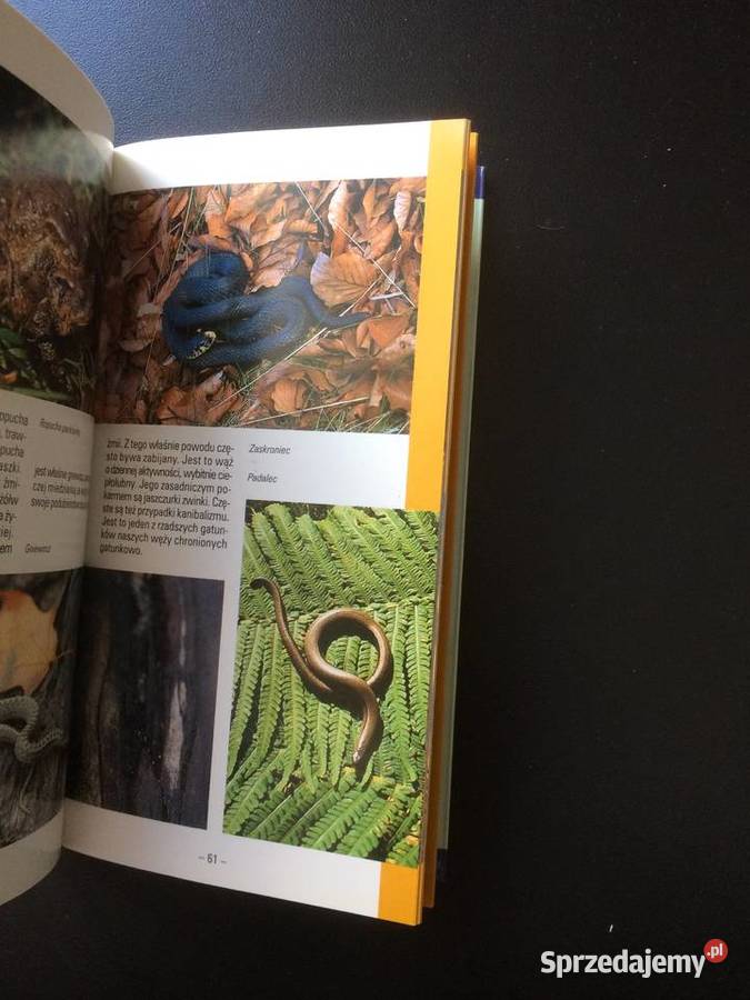 353 Woliński Park Narodowy zachodniopomorskie Szczecin