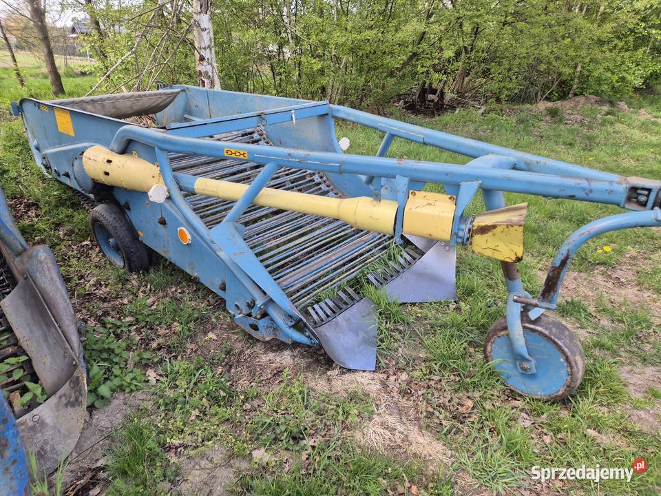 Kopaczka elewatorowa do ziemniaków Bucze