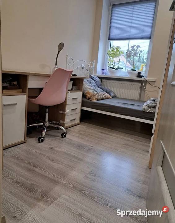 Mieszkanie Piętro 1 Jankowice Wielkie