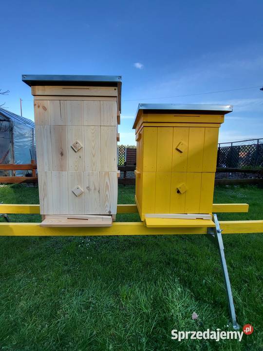 Ule wielkopolskie dennica higieniczna Lubliniec