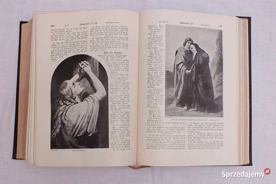 Stara biblia ilustrowana dolnośląskie Lubin sprzedam