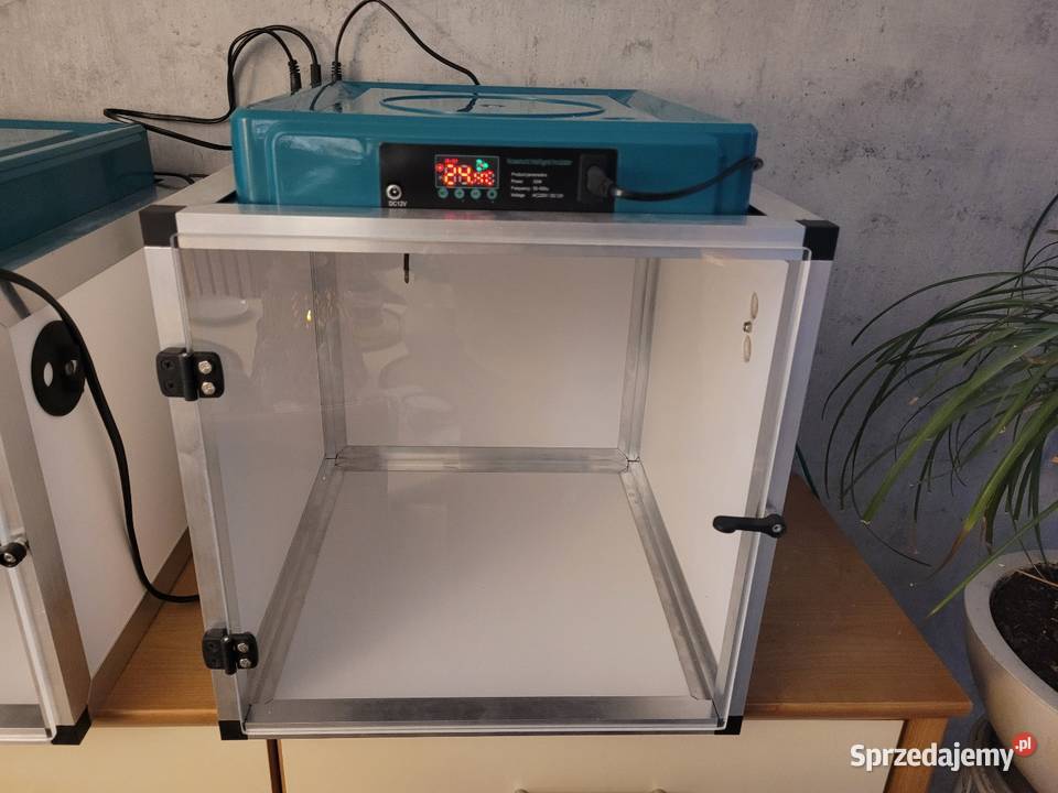 Odchowalnik papug Kościan