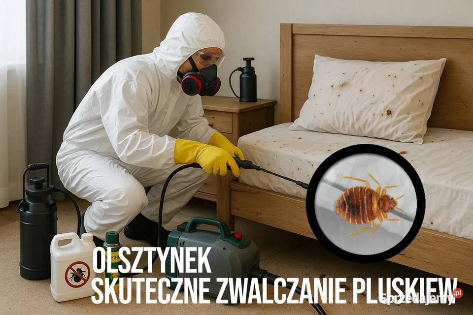 Zwalczanie pluskiew Olsztynek Odpluskwianie