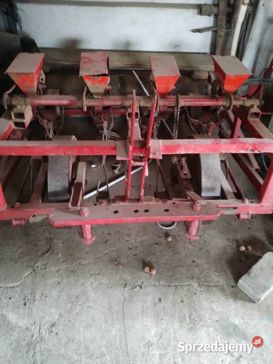 Siewnik do warzyw cebuli