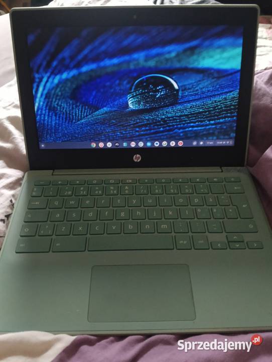 Chromebook HP HP/Compaq Pszczyna