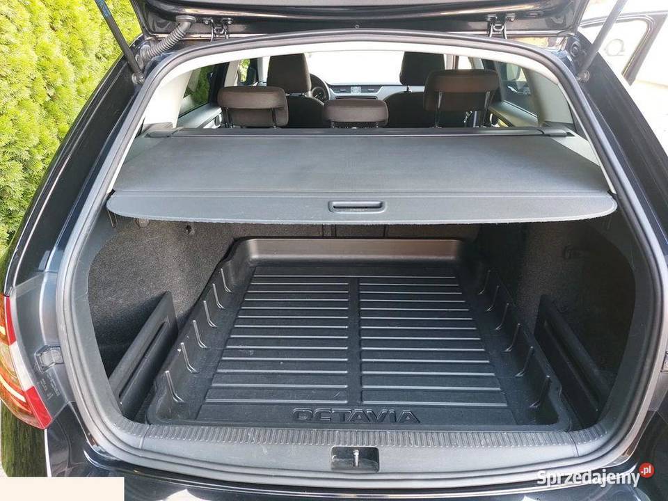 Skoda Octavia 20 TDI Elegance DSG 150 2019r śląskie Kaniów