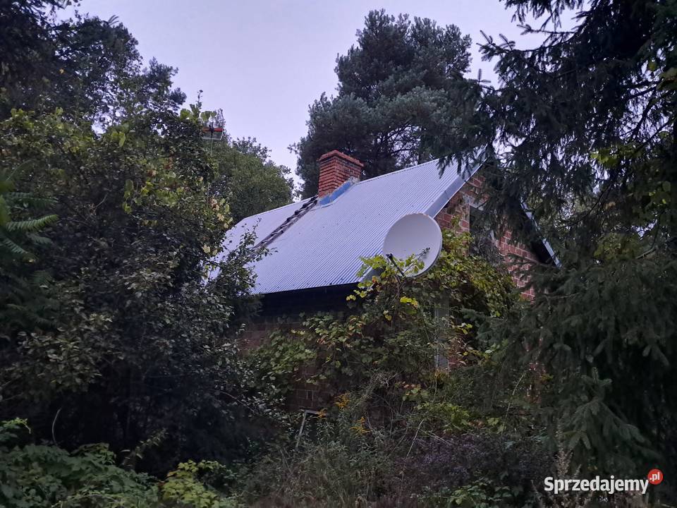 Sprzedam dom z dzialka