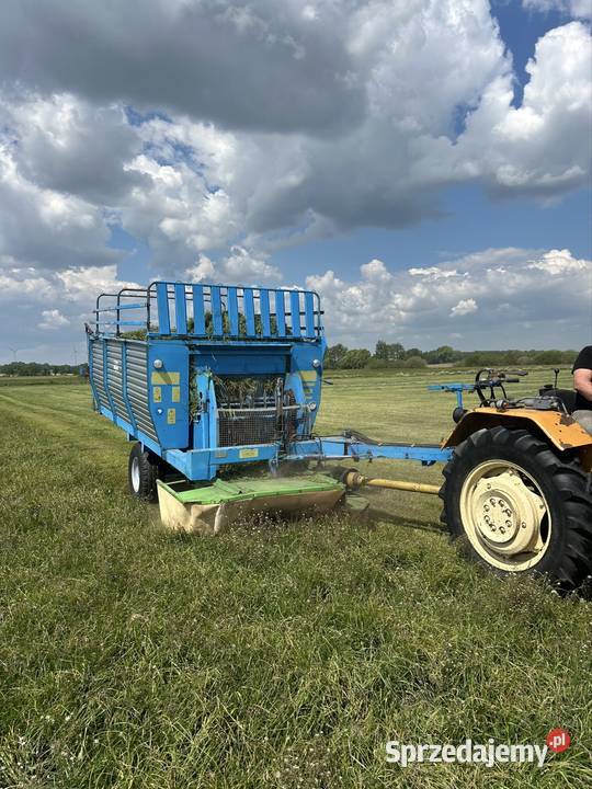 Ścinacz Zielonek zamet t 635 Wąsosze