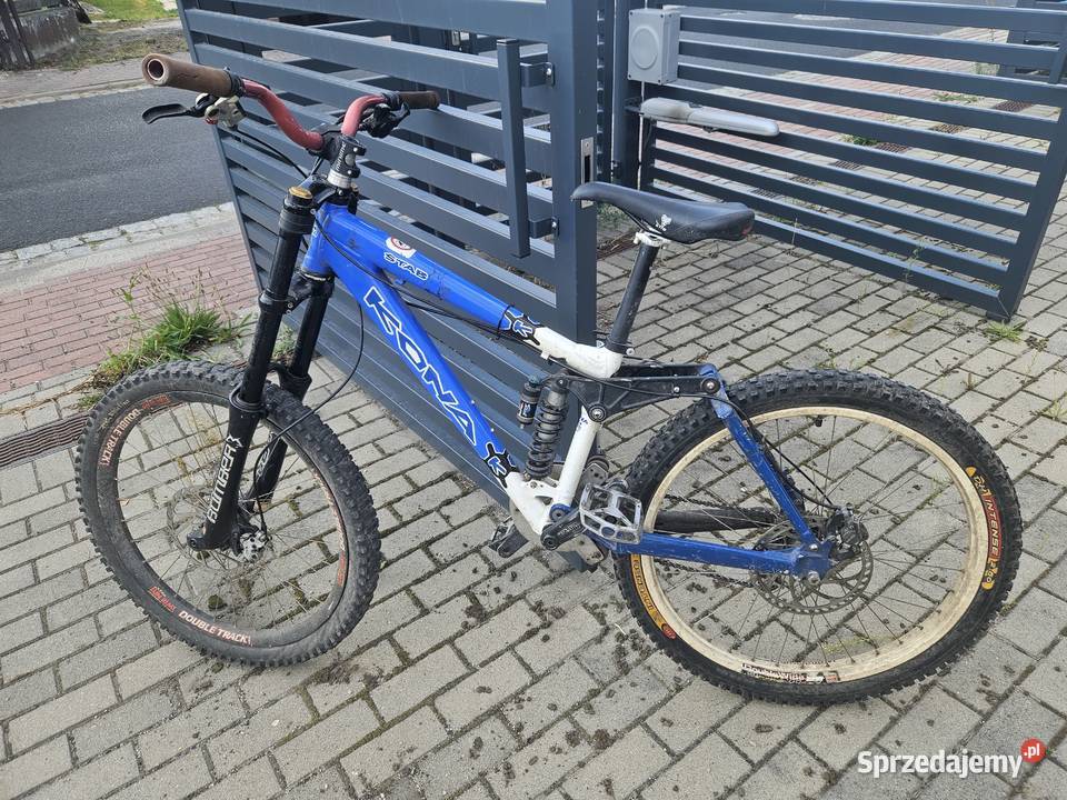 Kona Coiler Blue Star Bolesławiec