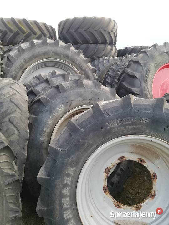 Koła wąskie Holland Holland koła wąskie Osła