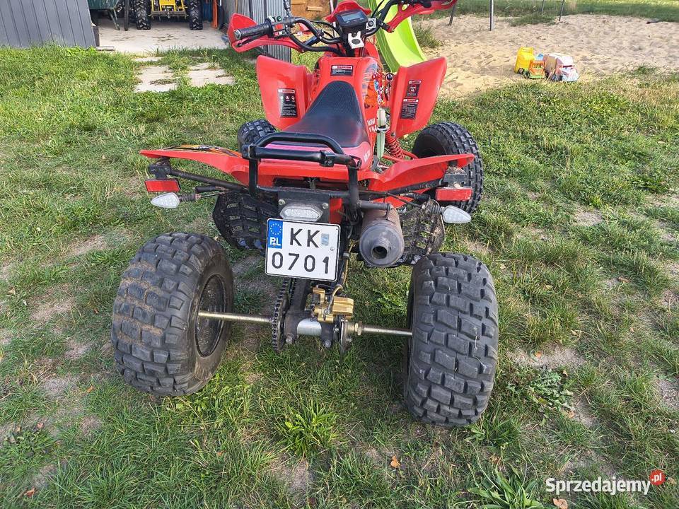 Bashan 250 2014r zarejestrowany Bashan Kierz Niedźwiedzi
