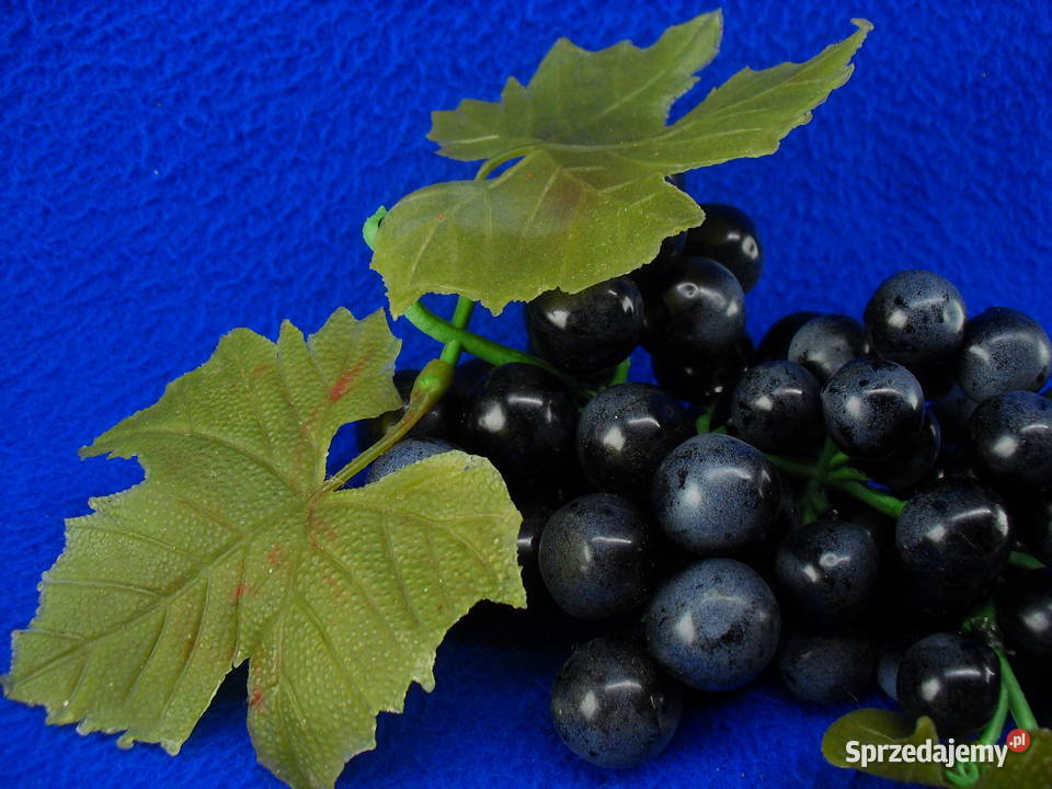 Winogrona do dekoracji Bielawa