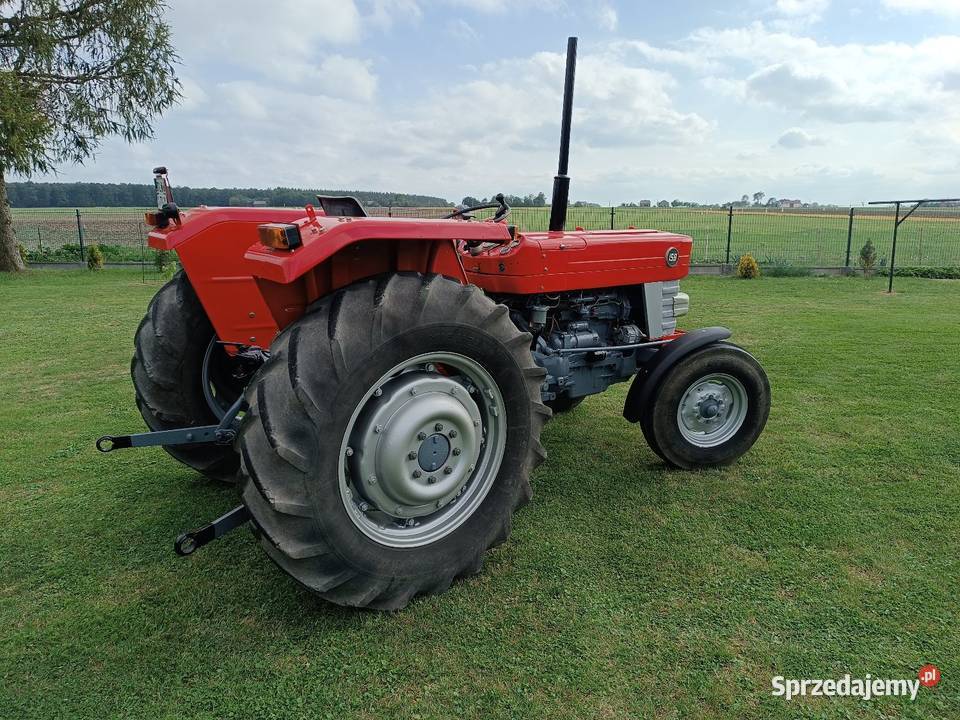 Massey Ferguson 158 zarejestrowany Wspomaganie kierownicy Chlewice