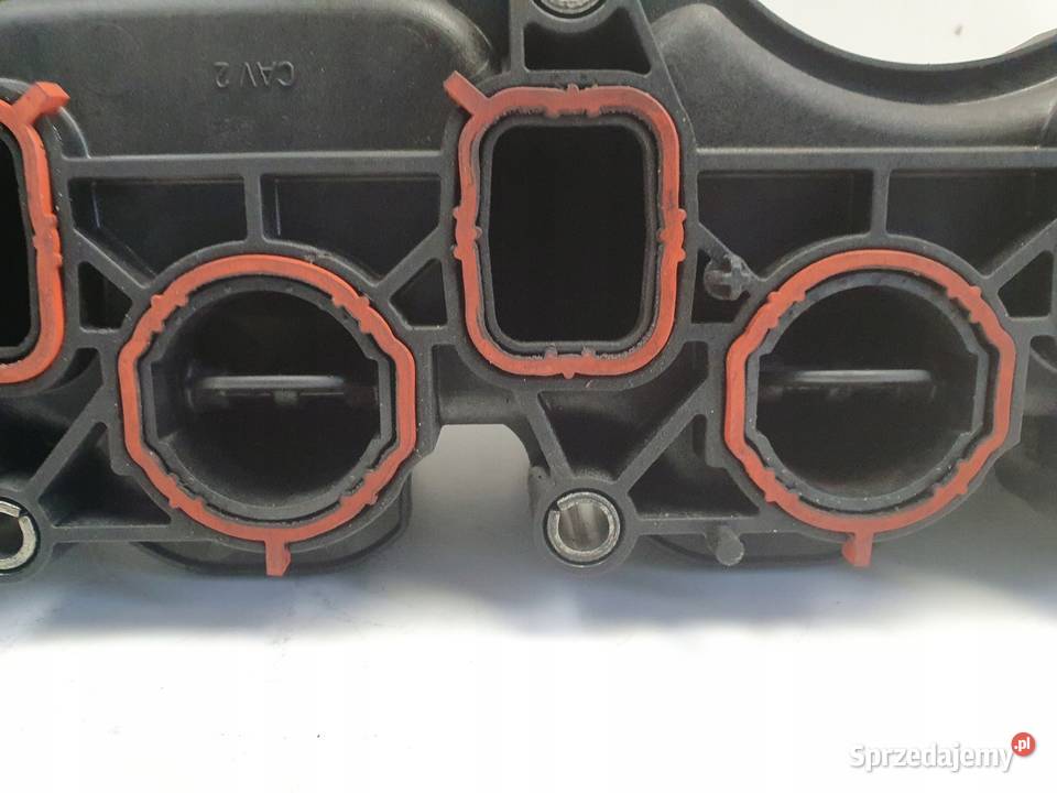 Audi A3 II 8P 16 TDI KOLEKTOR SSĄCY nastawnik Rudka