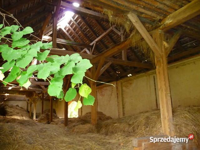 Gospodarstwo rolne zabudowania pole 598 h kanalizacja Tymowa