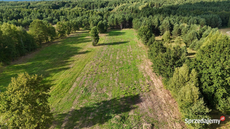 Działka na sprzedaż 910 m2 Gałęzice gm Piekoszów Nieruchomości