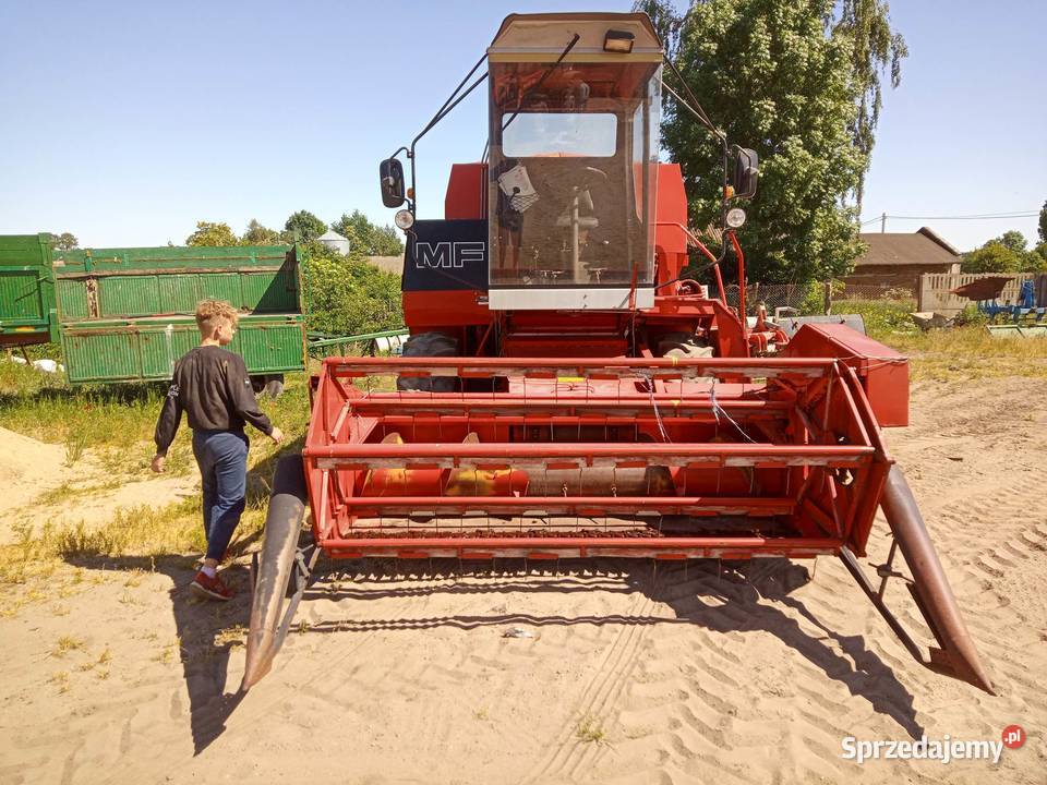 Kombajn zbożowy mf 16 Izbica Kujawska