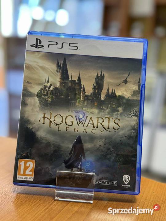 Gra HOGWARTS LEGACY 5 warmińsko-mazurskie Elbląg