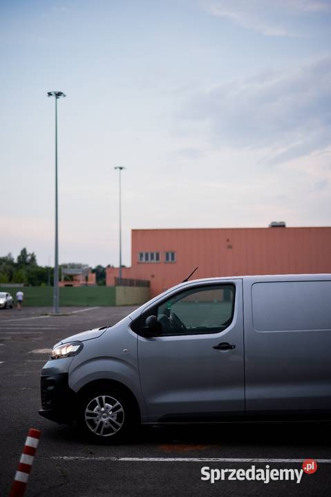 2020 Opel Vivaro 20 Automat srebrny Poznań