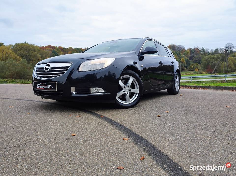 Fajny Opel Insignia kombi 20 CDTI 160 2011 Domaradz