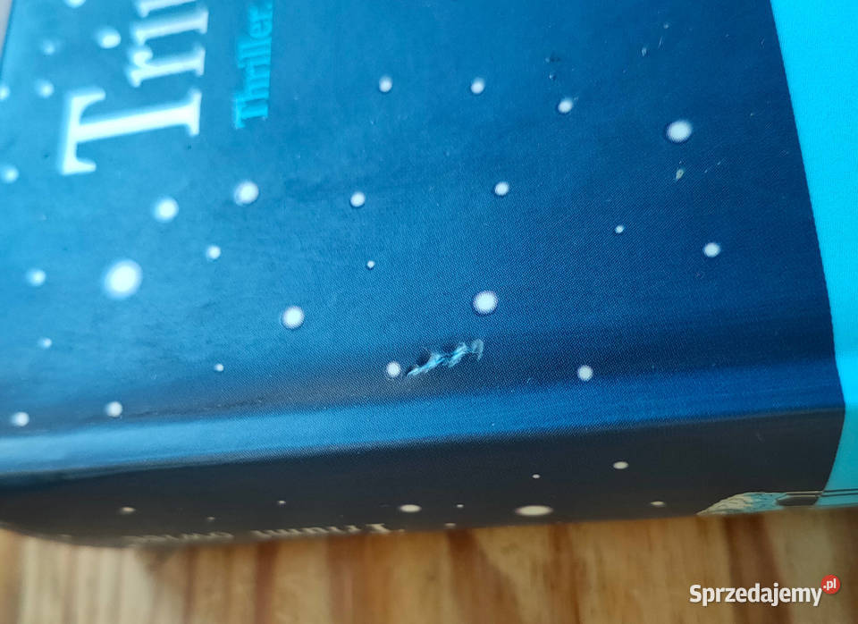 Leonie Swann Sprawiedliwość owiec Triumf Sosnowiec