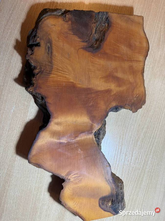 2 plastry drewna Amboyna Wood Gliwice