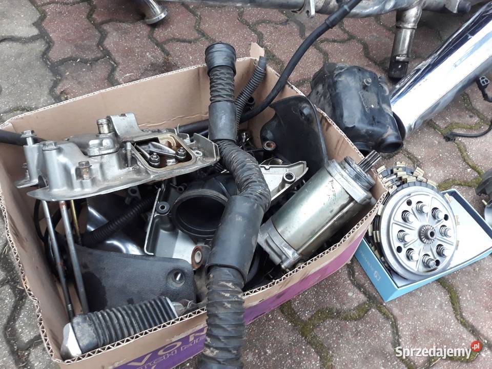 Suzuki VX 800 części elektryka silnikowe Bolesławiec sprzedam