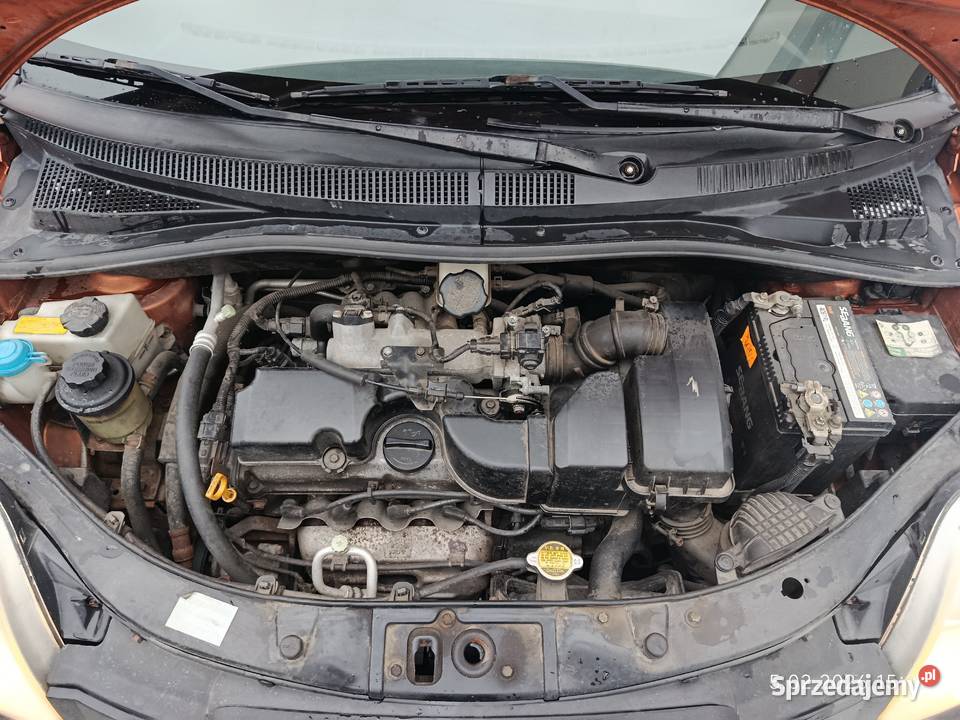 Kia Picanto benzyna 11 2005r 4/5 wielkopolskie Łęka Opatowska sprzedam