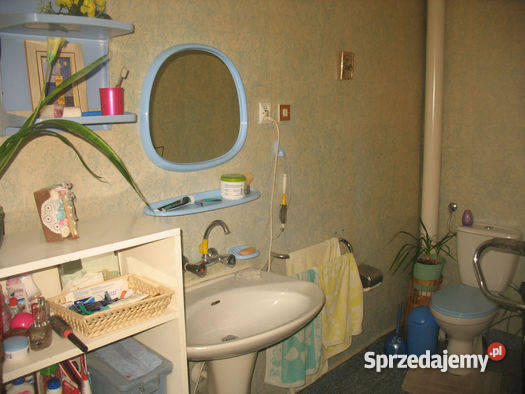 Do Dom rzeką Domy Mława sprzedam