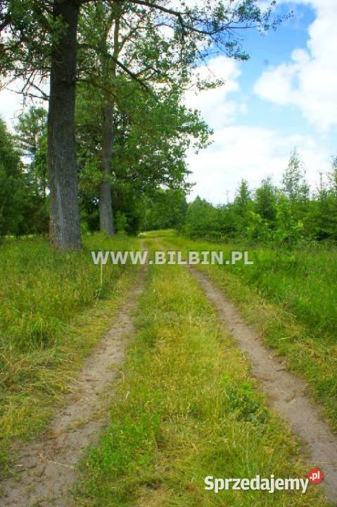 Działka 11300m2 Maćkowa Ruda