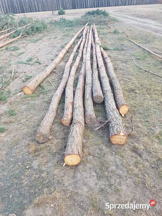 Stemble drewniane mocne proste usługi budowlane