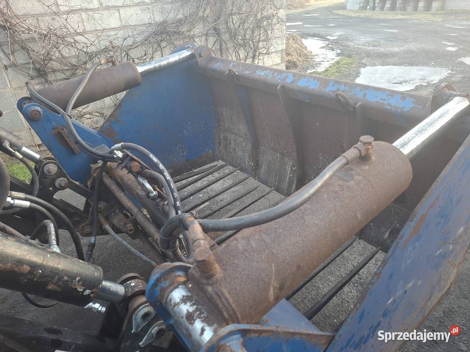 Wycinak szczękowy nieuszkodzony wielkopolskie Słupca