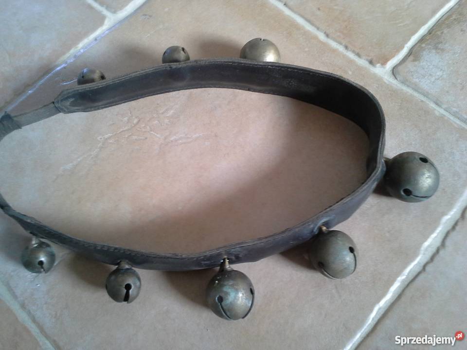 Janczary Dzwonki Kuc dolnośląskie Krotoszyce