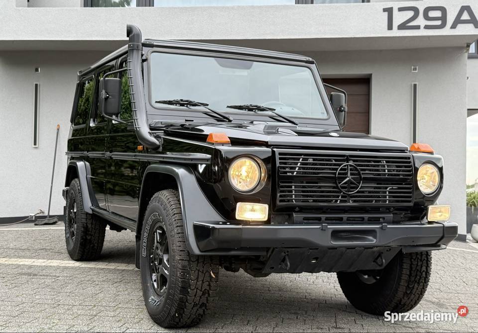 MercedesBenz Klasa G W461 G300 CDI PROFESSIONAL