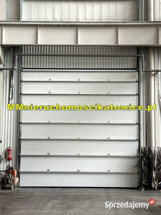 Powierzchnie magazynowe do wynajęcia 200 5000 m2 Wynajem śląskie