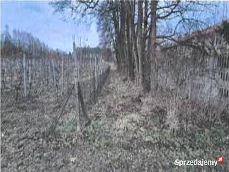 Syndyk masy upadłości sprzeda działkę Szczęsna 366m2