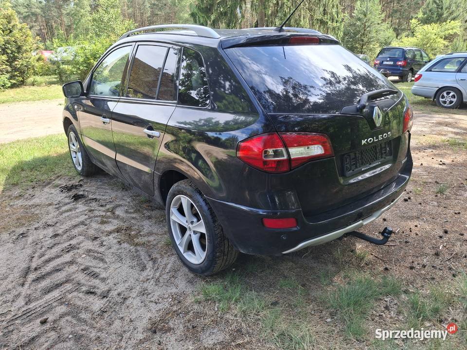 Renault Koleos 4x4 Klima Navi Benzyna Trzcianka