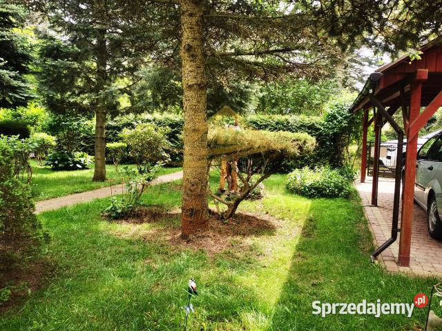 Grunt 506m2 Władysławów