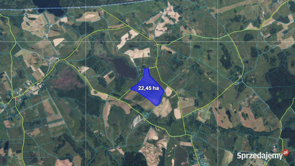 Działka z Warunkami Zabudowy 2245 ha Żabin gm Sprzedaż warmińsko-mazurskie