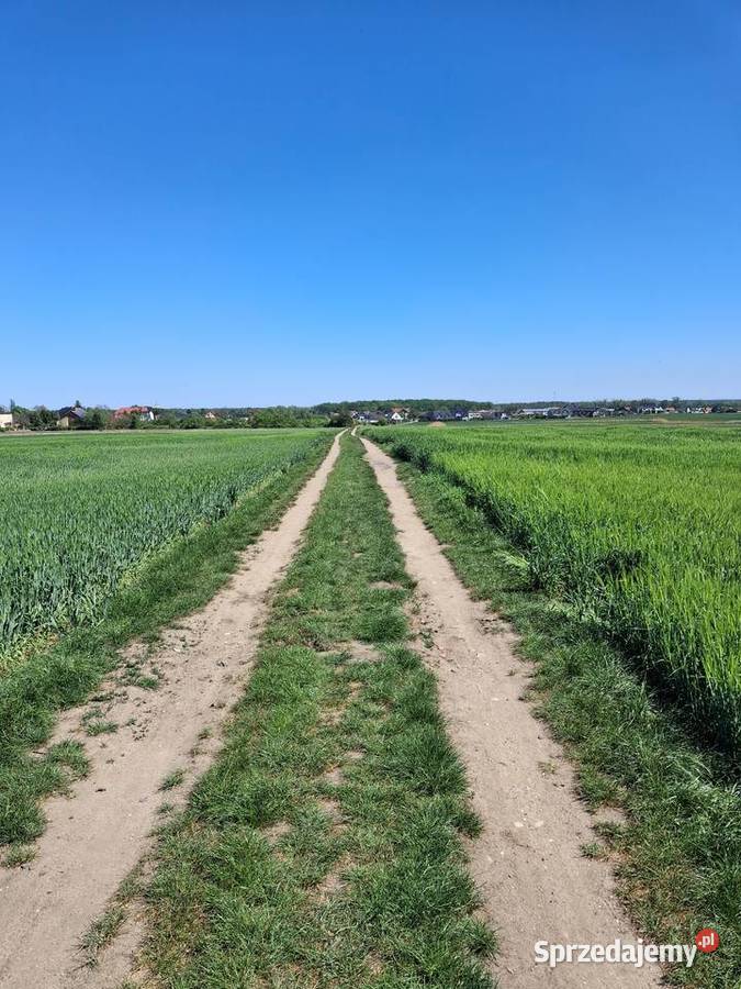 Prywatnie 1ha Opole Grudzice 4 do Centrum 9760m2