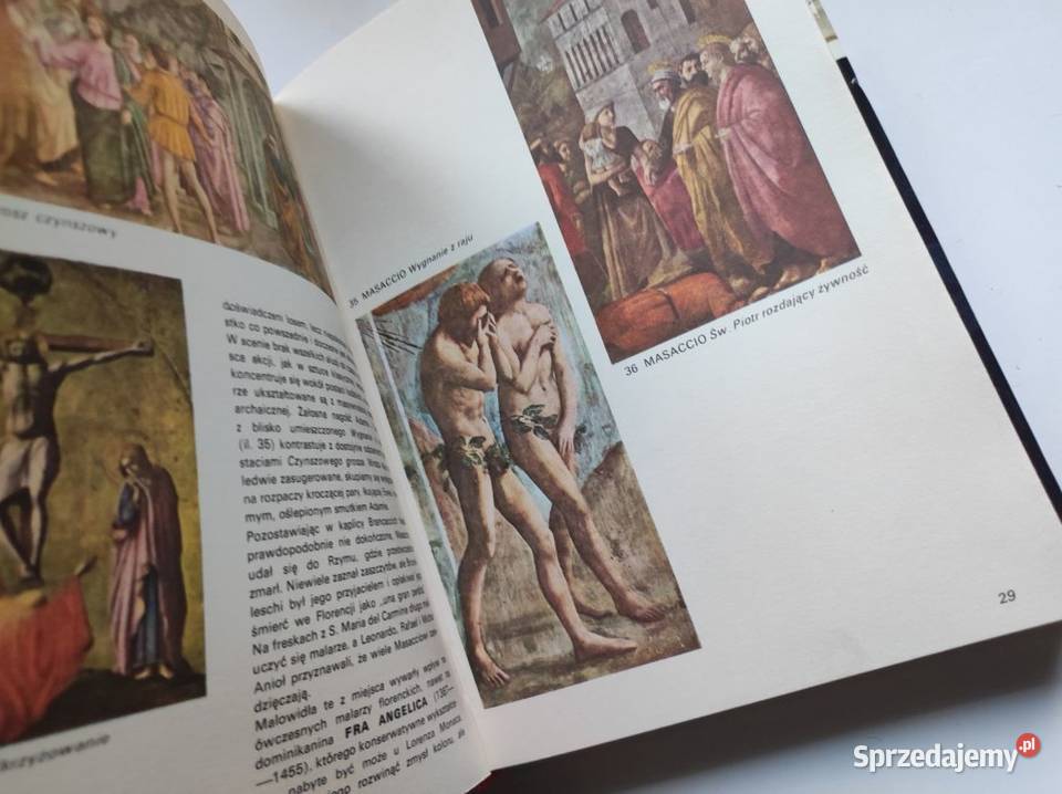 Giotta do Cezannea Michael Levey zarys historii świętokrzyskie Kielce sprzedam