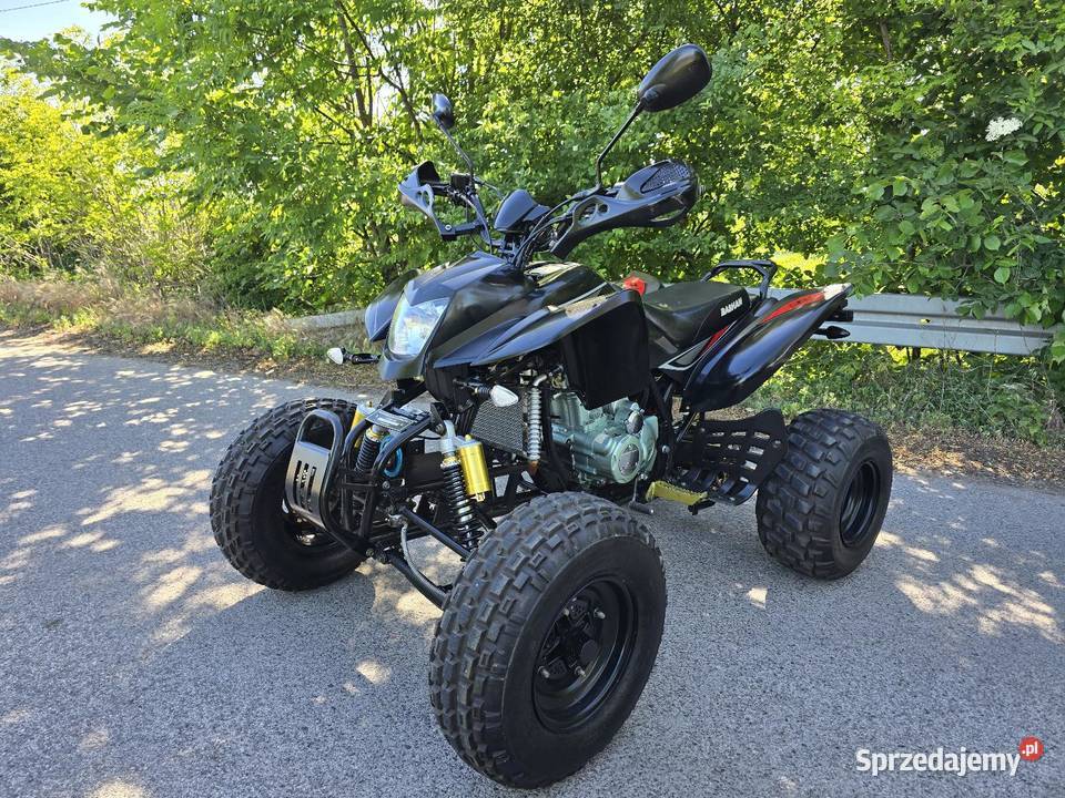 Quad Bashan 250cc Ciecz 41R Kat B Duża Rama 250cm3 Kruszwica sprzedam