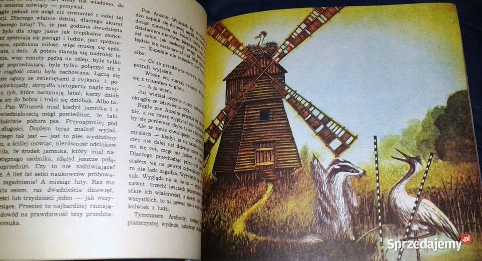 Godzina dwudziesta piąta Wojciech Janota Chełm sprzedam