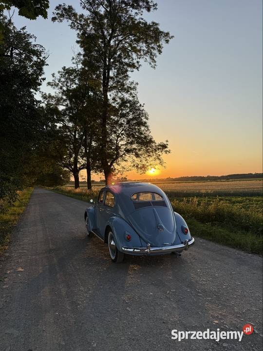 Volkswagen Garbus Oval 1954 Olesno