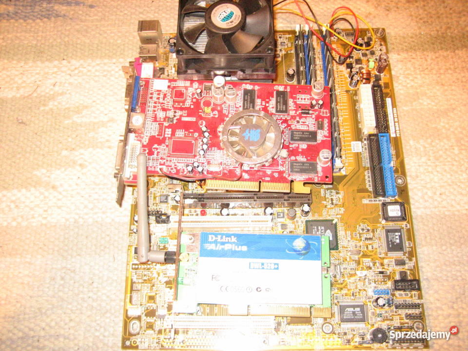 asus a7n8x Klasy AMD Athlon 64 X2 Bydgoszcz